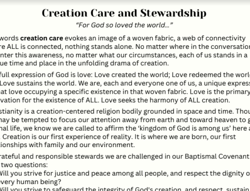 Creation Care Address by Canon Jotie