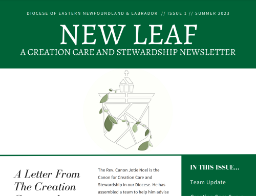 New Leaf Issue 1 – Summer 2023