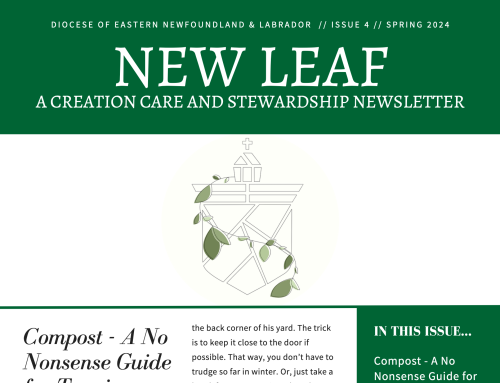 New Leaf Issue 4 – Spring 2024