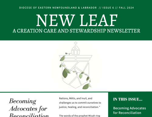 New Leaf Issue 6 – Fall 2024